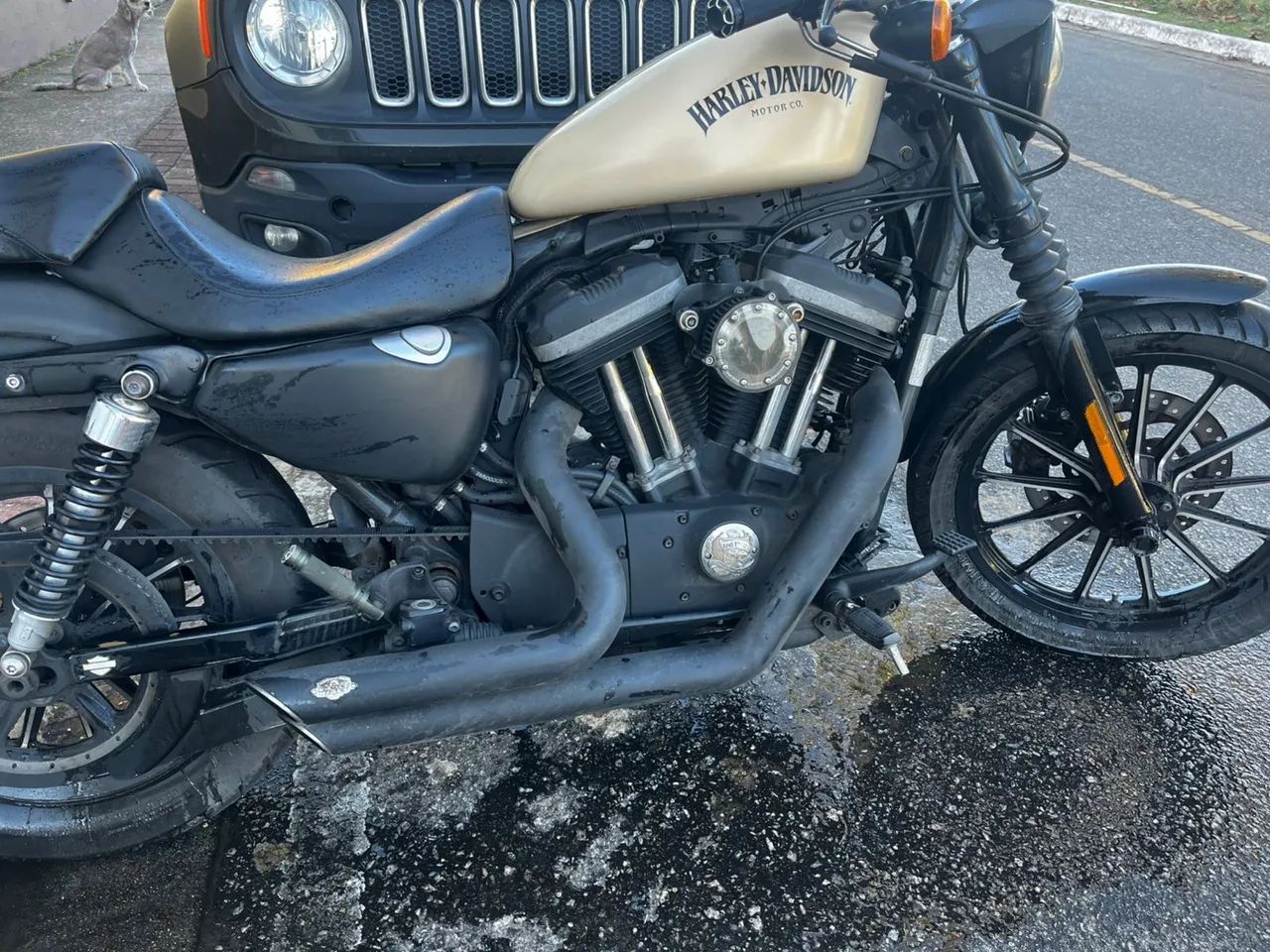 883 Iron - Foto 5