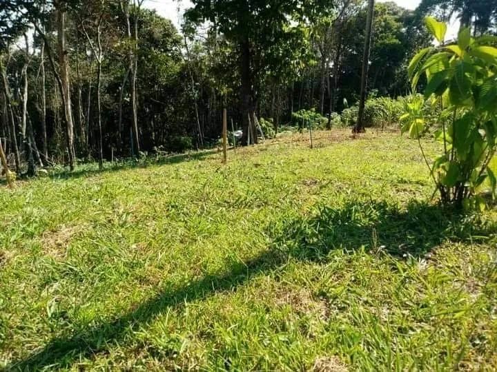 Foto - São Paulo - Santa Efigênia