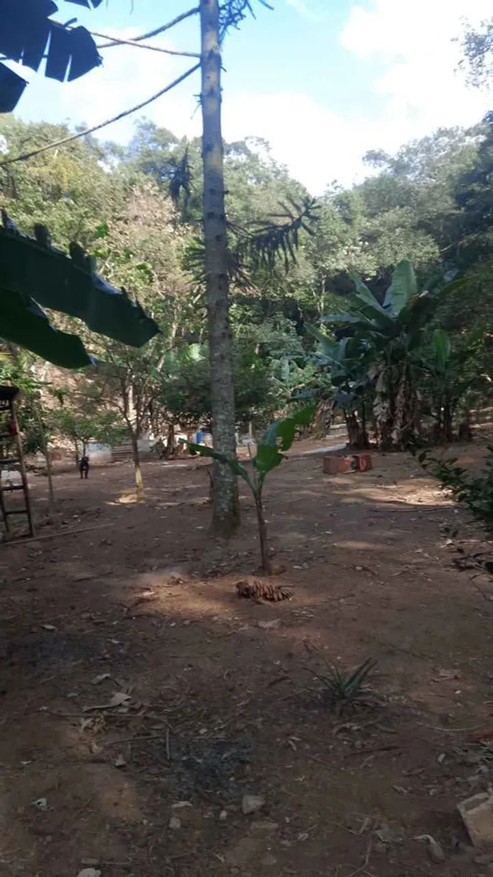 Chácara  - Foto 5