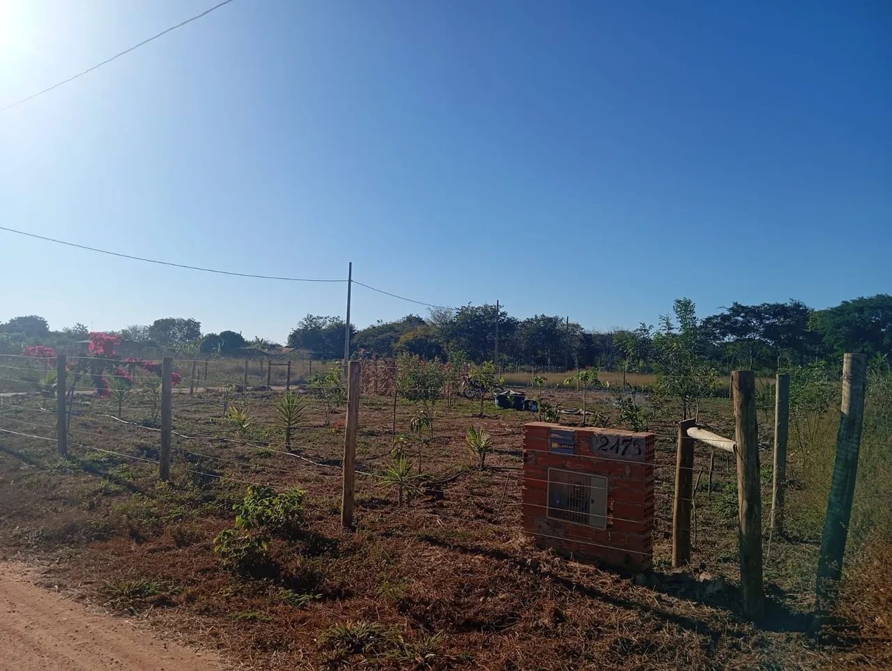 Granja - Foto 4