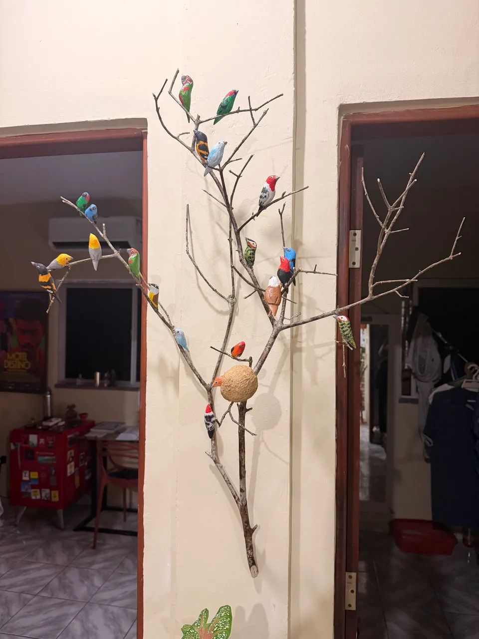 GALHO DE PÁSSAROS  - Foto 3