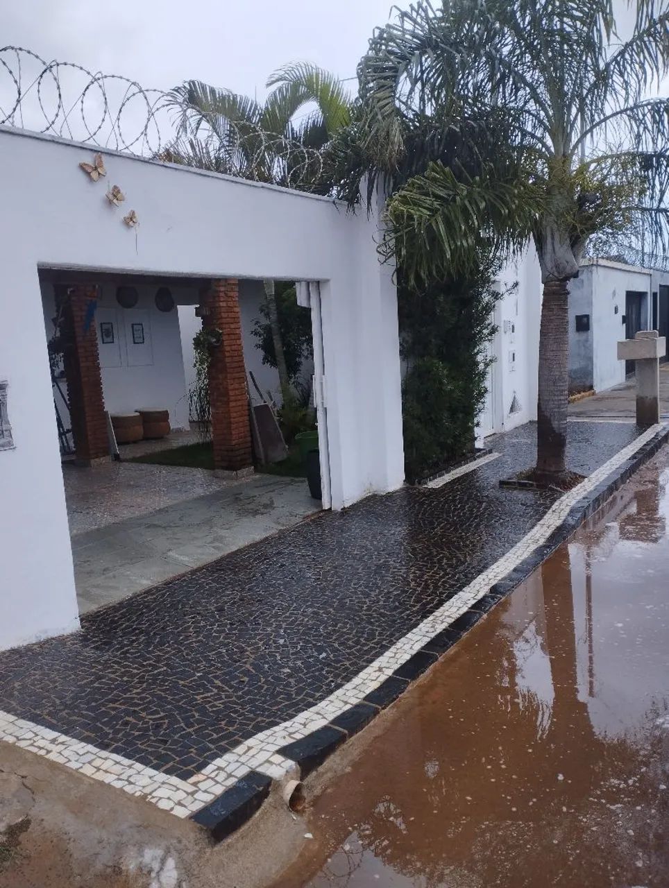 Pedras macaquinho e portuguesa  - Foto 3