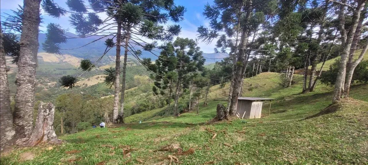 Terreno no Vale da Santa Clara - Foto 3
