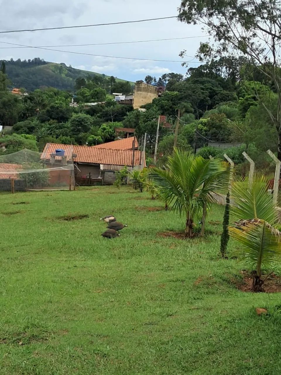 Venda e troca - Foto 3
