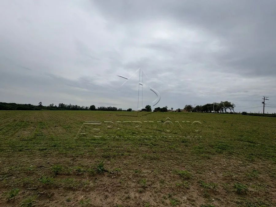 AREA COM 253.466,00 M² NO CENTRO DE SALTO DE PIRAPORA - Foto 3