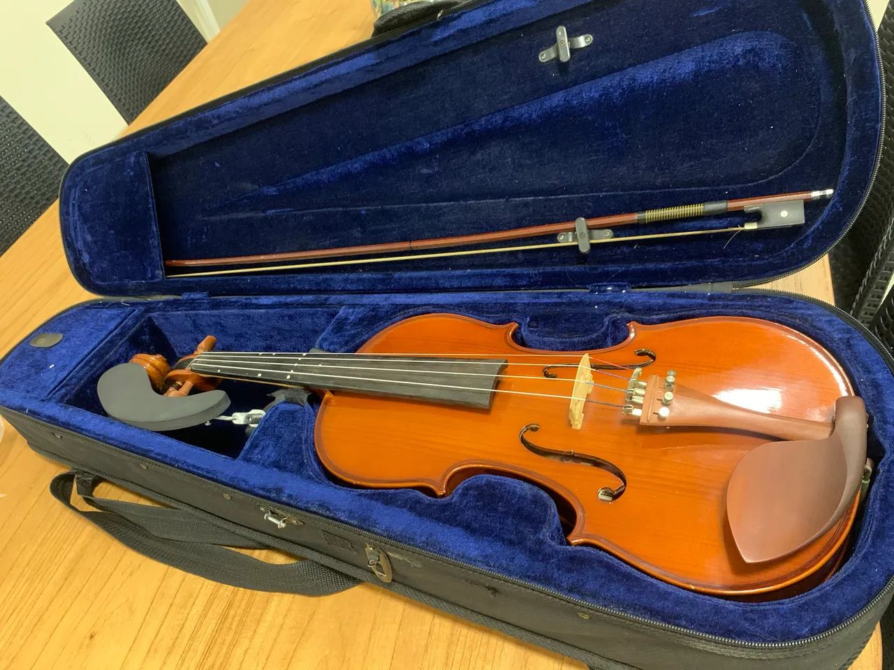 Viola clássica de arco Michael