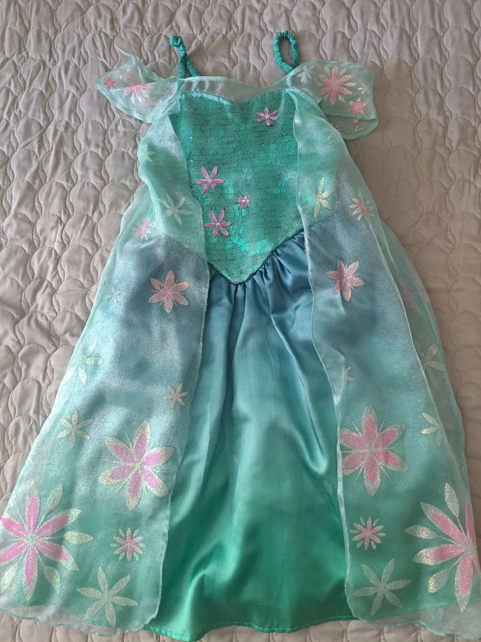 Fantasia Frozen Fever Disney 
