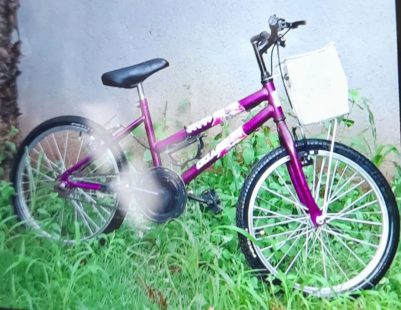 Bicicleta 