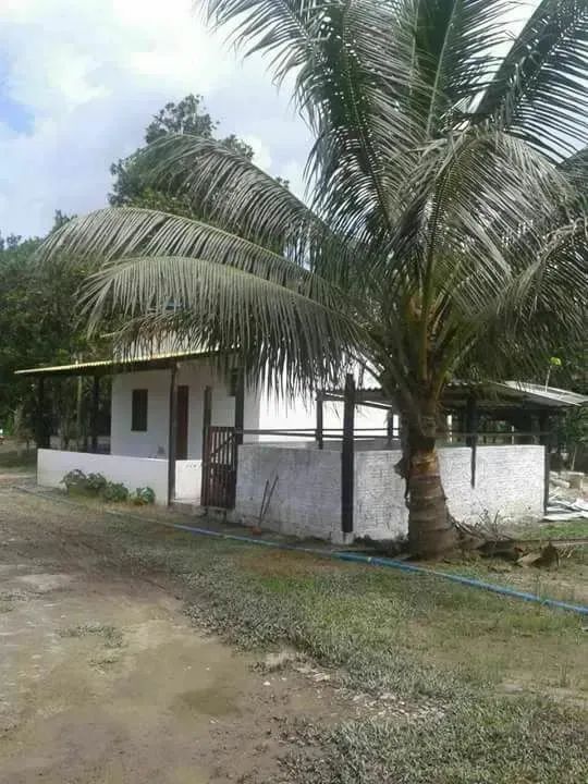 VENDO SÍTIO EM RIO PRETO DA EVA COM 27.500 METROS - Foto 9