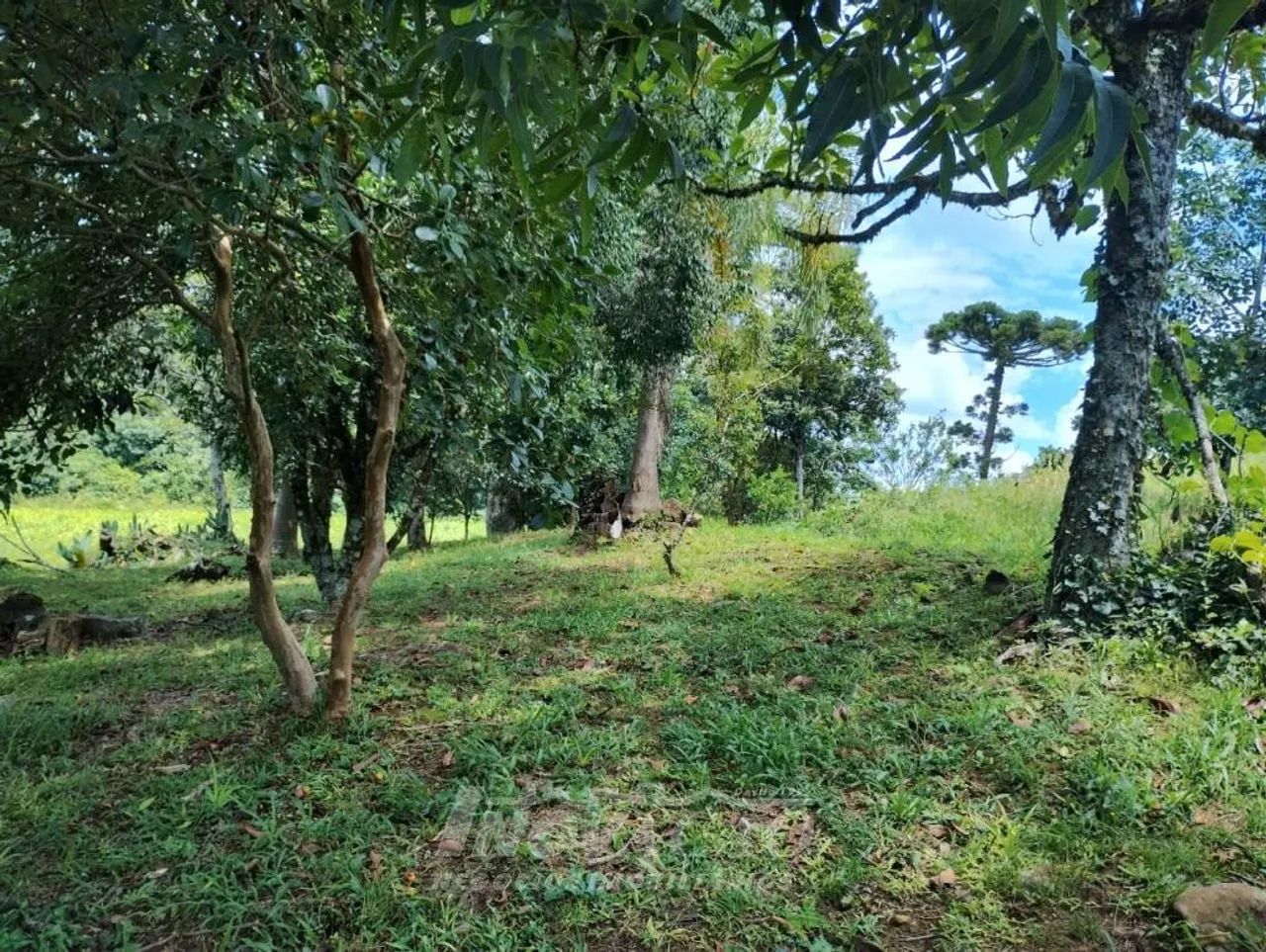 Chácara Galópolis Caxias do Sul - Foto 3