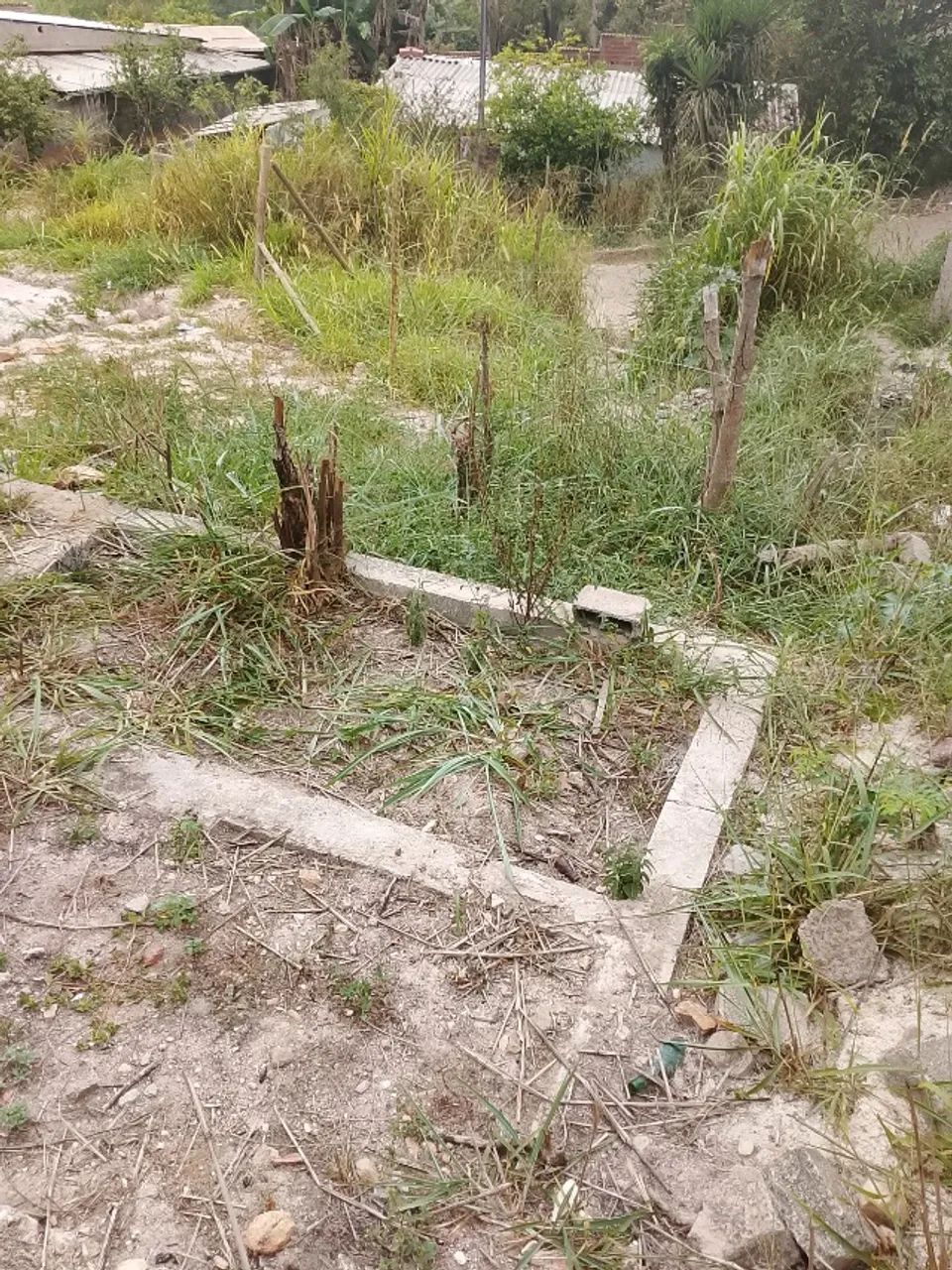 lote - Foto 5