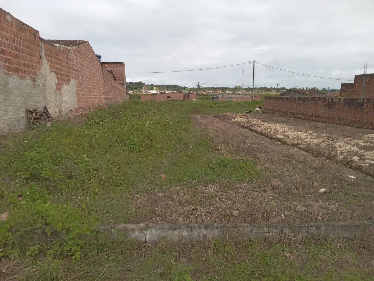 Terreno em alto bonito a 5km das cachoeiras  - Foto 2