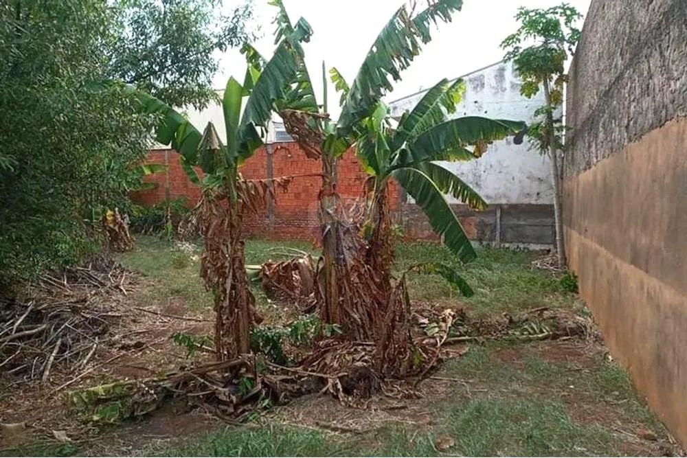 Terreno à venda - Centro - Tupã/SP - Foto 5