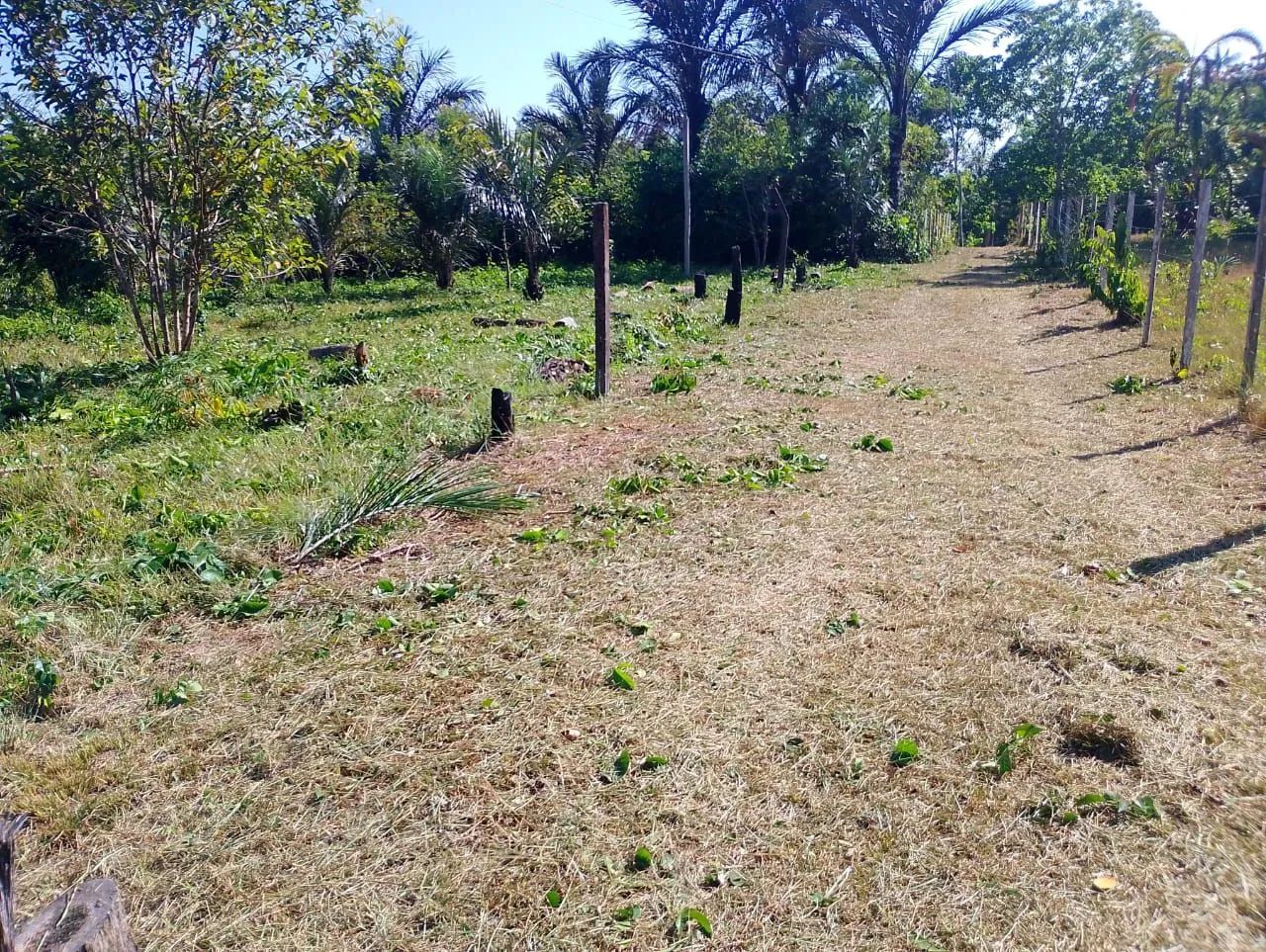 Chácara no Rio Preto da Eva - Foto 3
