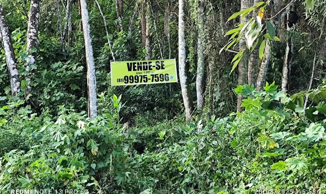 Vendo terreno Km9 Aldeia