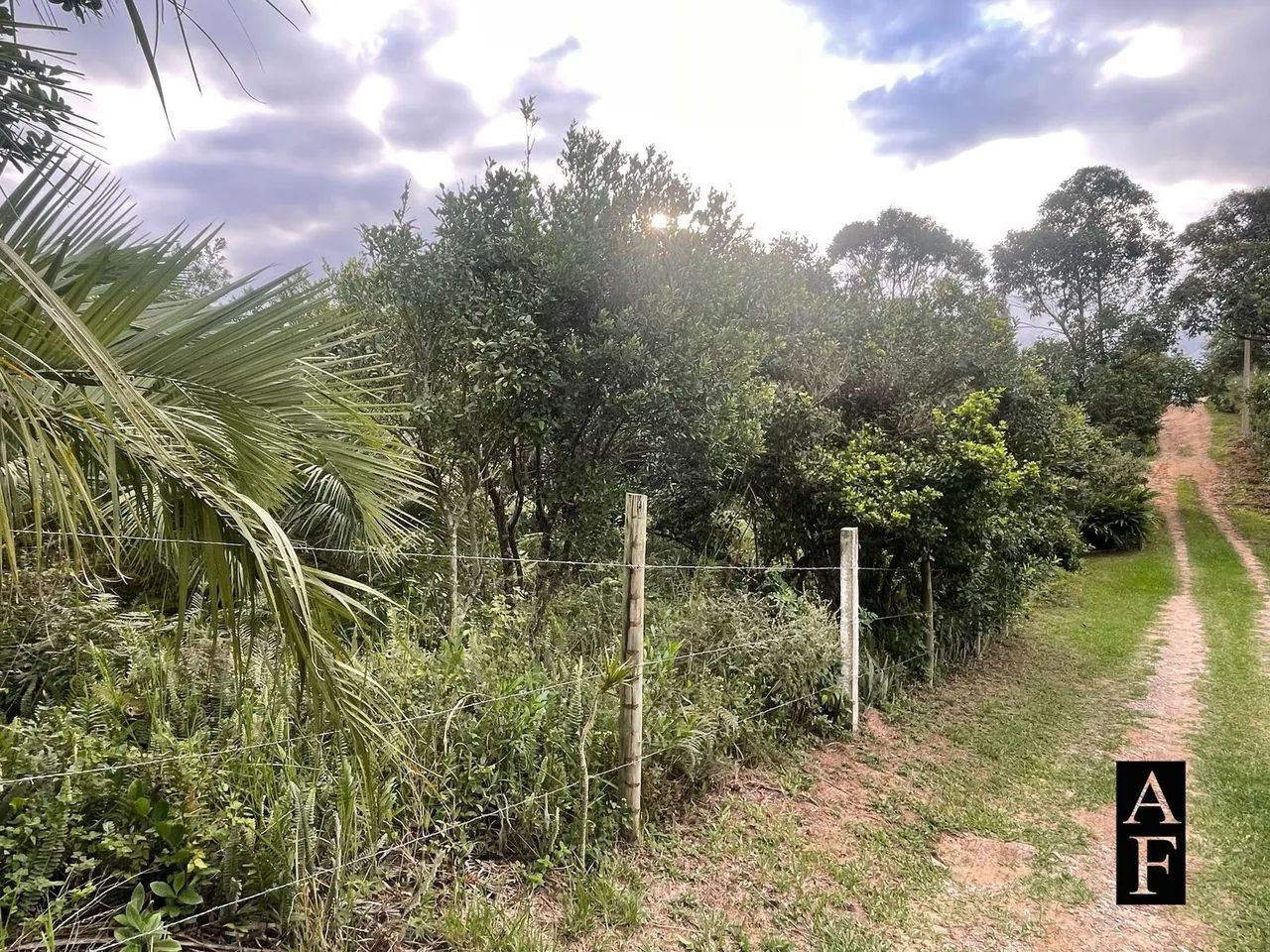 Terreno na Praia do Rosa - Foto 3