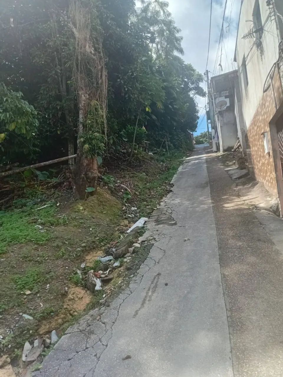 Terreno  - Foto 2
