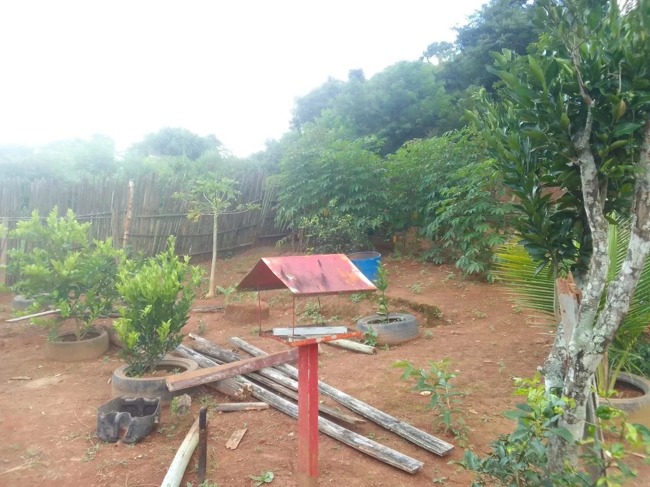 Chácara ( granja) Juiz de Fora MG - Foto 5