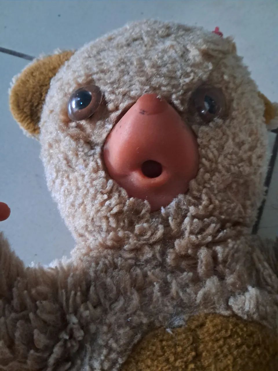 URSO PEPOSO ANTIGO PERFEITO - Foto 3