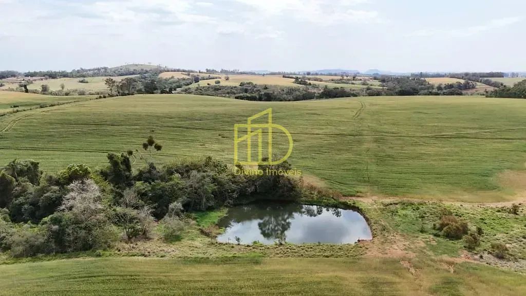 SÍTIO À VENDA  REGIÃO DE ITAPETININGA/SP - Foto 4