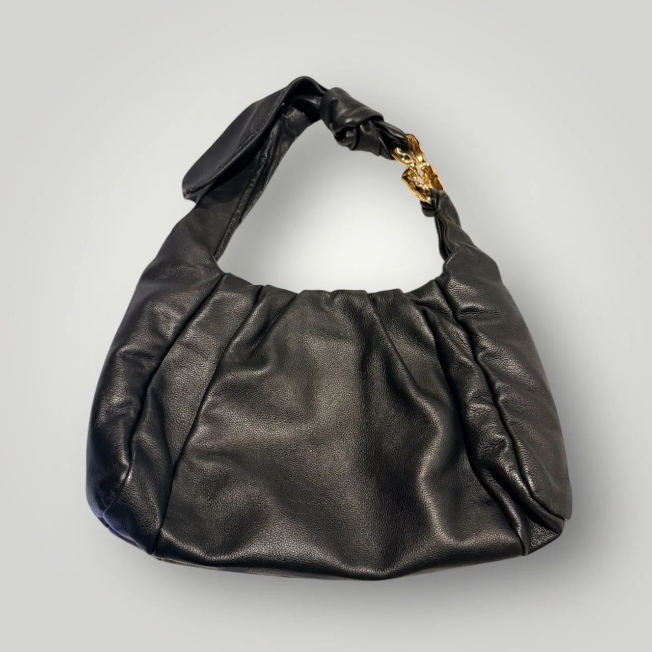 Bolsa da Schutz  - Foto 2