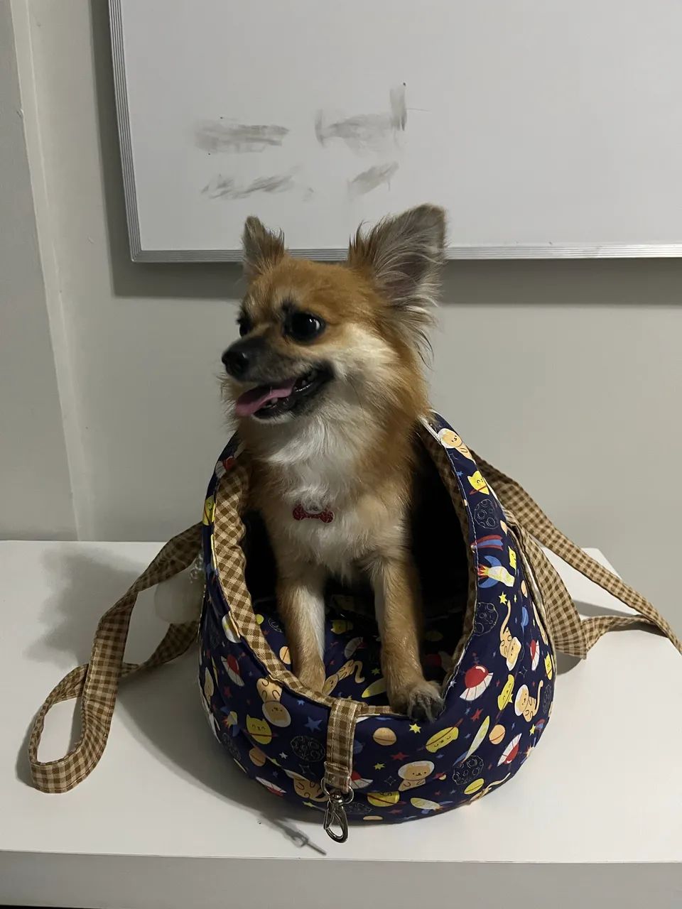 Bolsa Transporte Pet - Foto 2