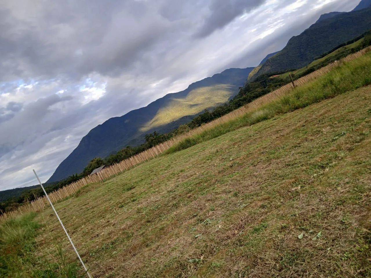 Foto - Palhoça - Alto Aririú
