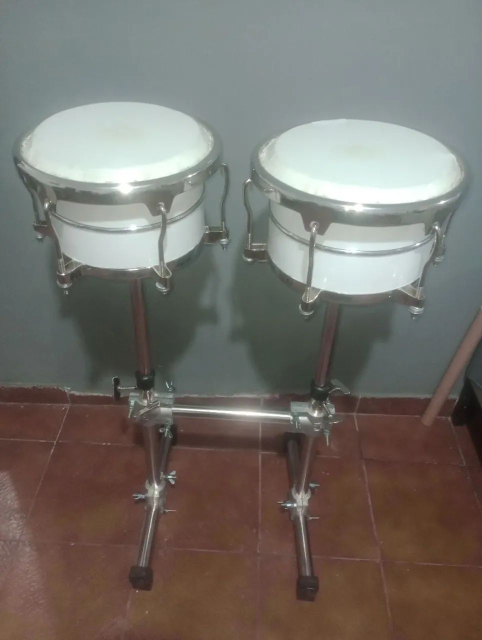 Conga compacta.