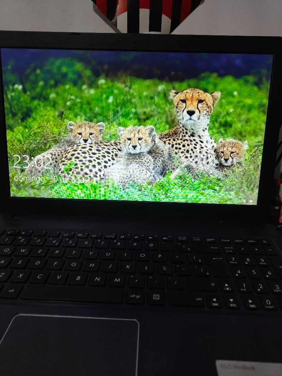 Notebook ASUS Vivobook  Intel Core i3 - Foto 2