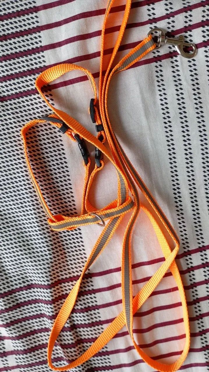 Pet Harness64962123567618120