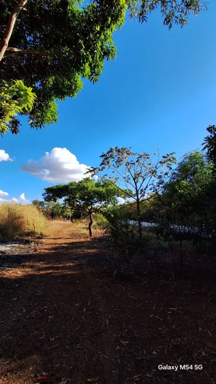 Chácara à Venda - Excelente Oportunidade com 4.000m² negociavel * - Foto 3