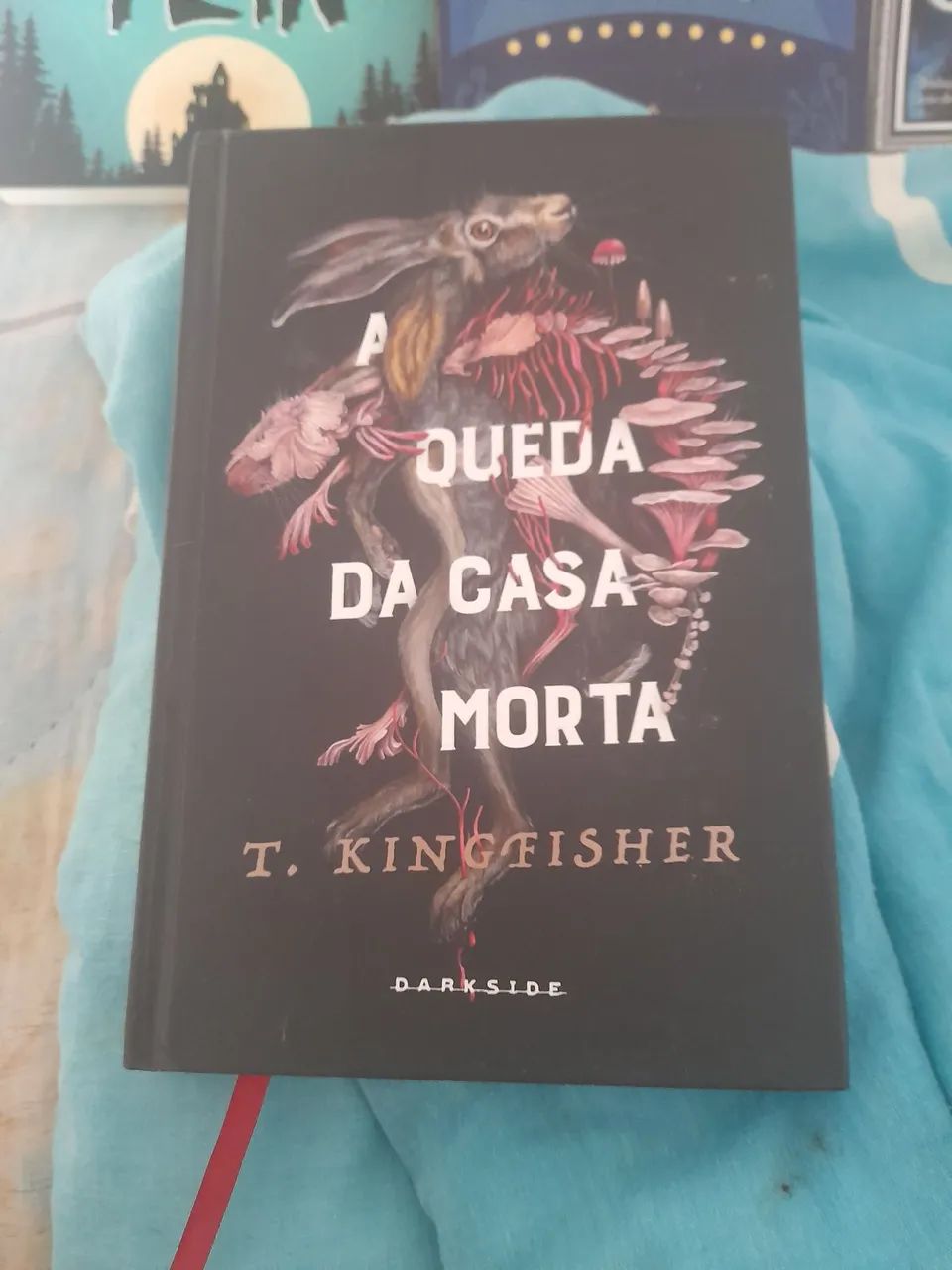 A queda da casa morta darkside