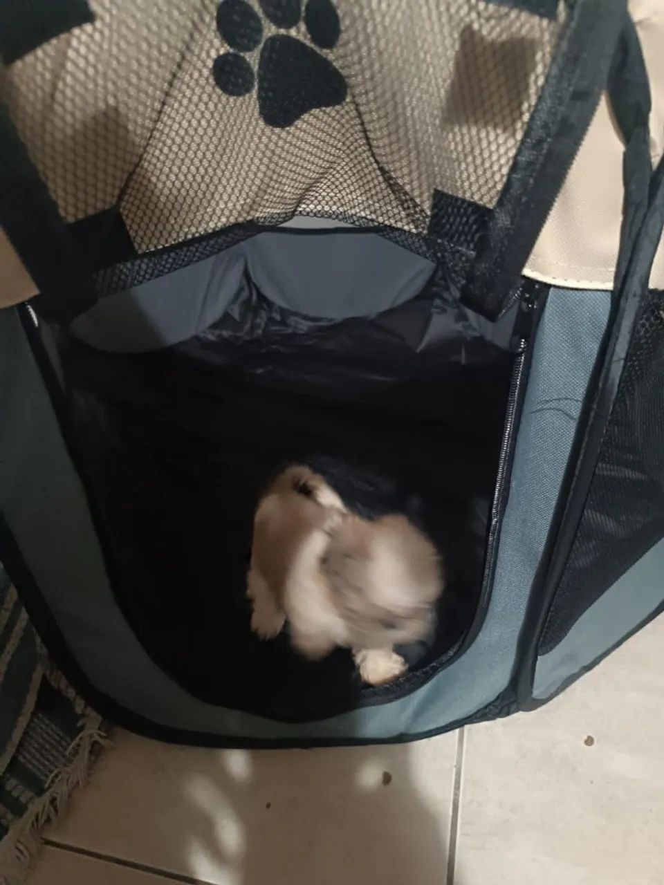 Canteiro Pet  - Foto 2