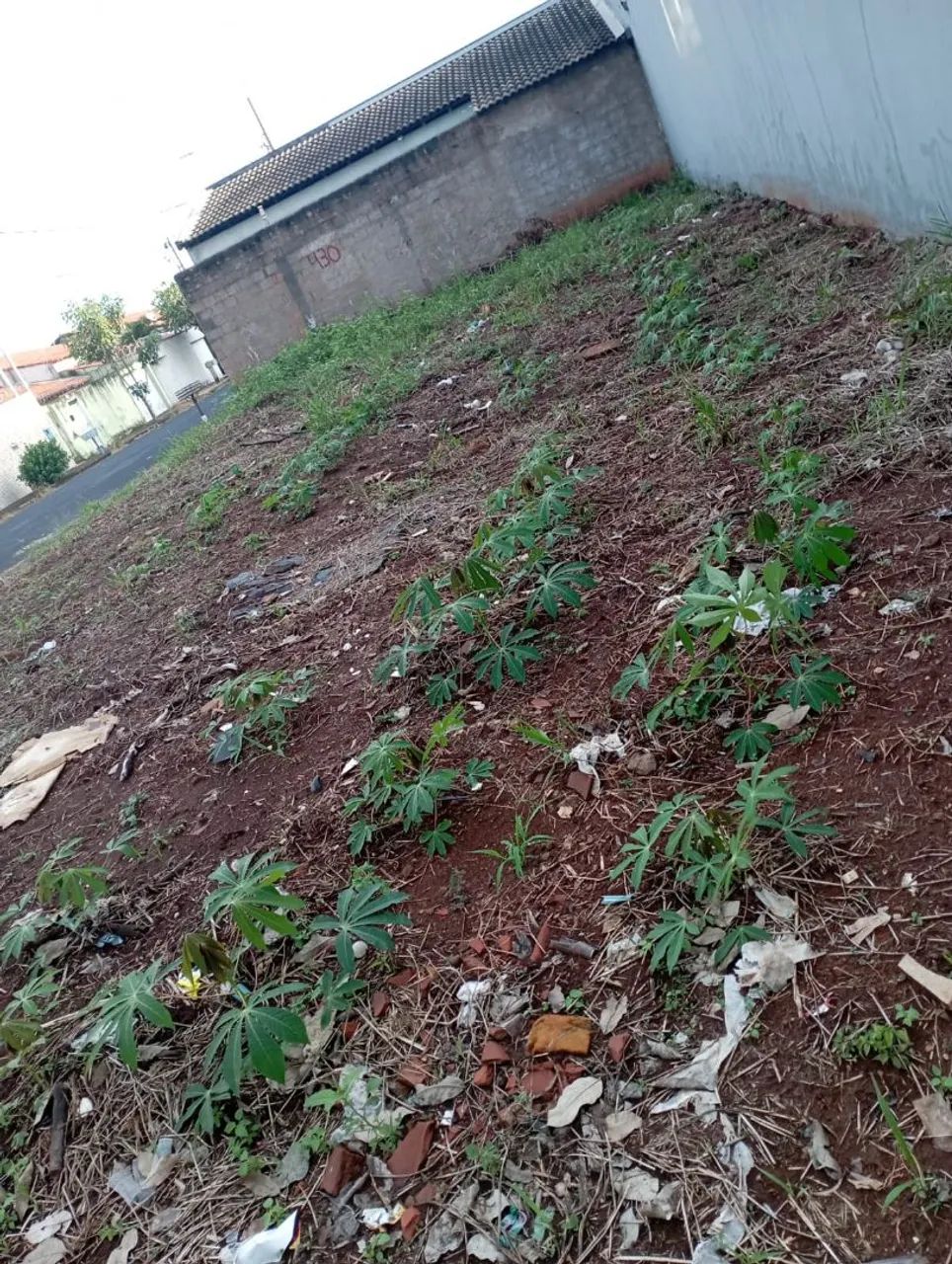 Foto - Uberlândia - Jardim Europa