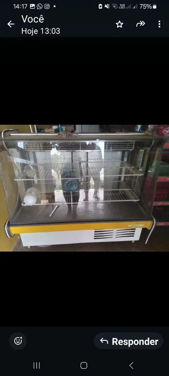 Vendo freezer gelopa