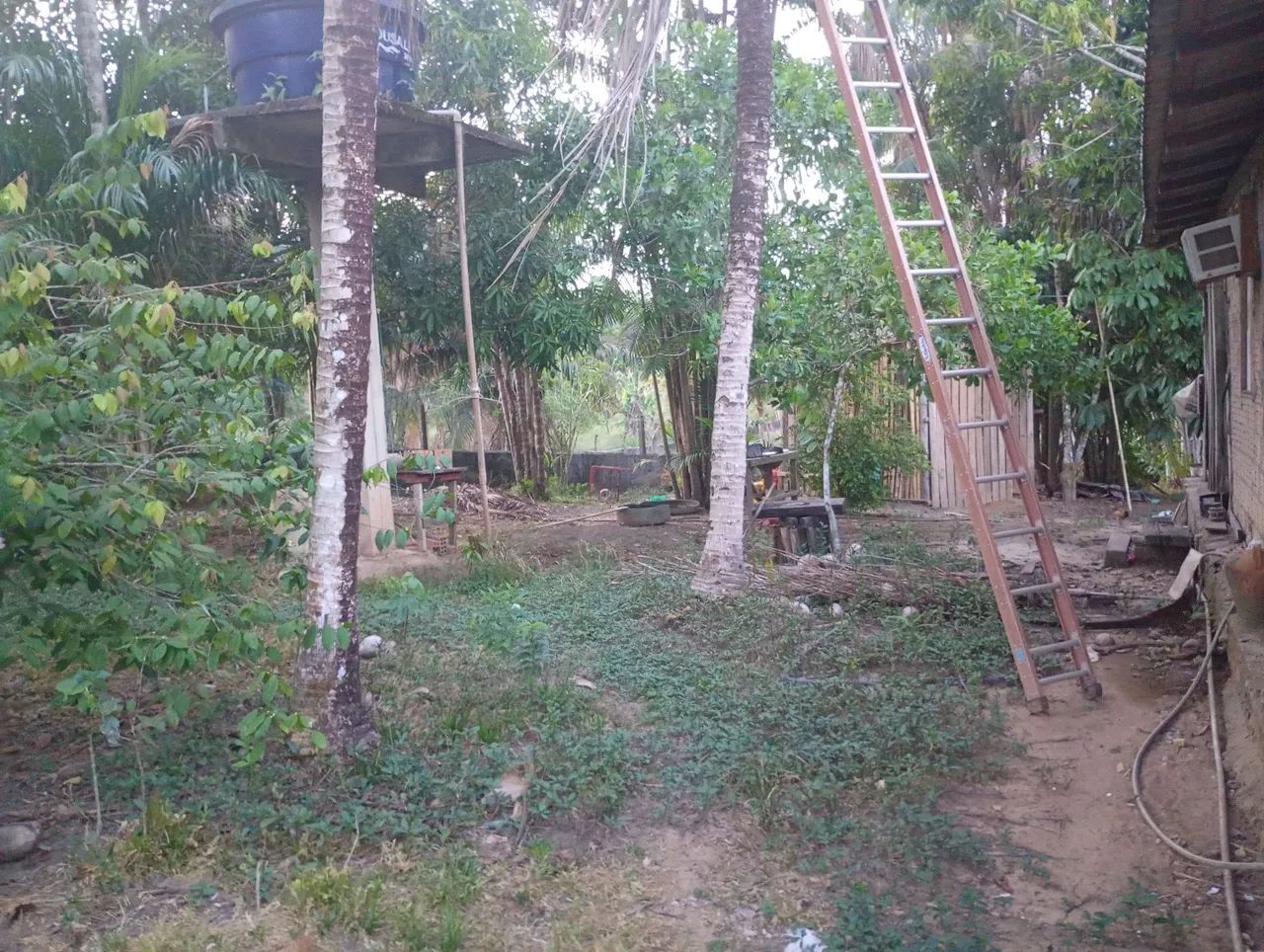 SÍTIO DOS SONHOS R$ 240.000 - Foto 5