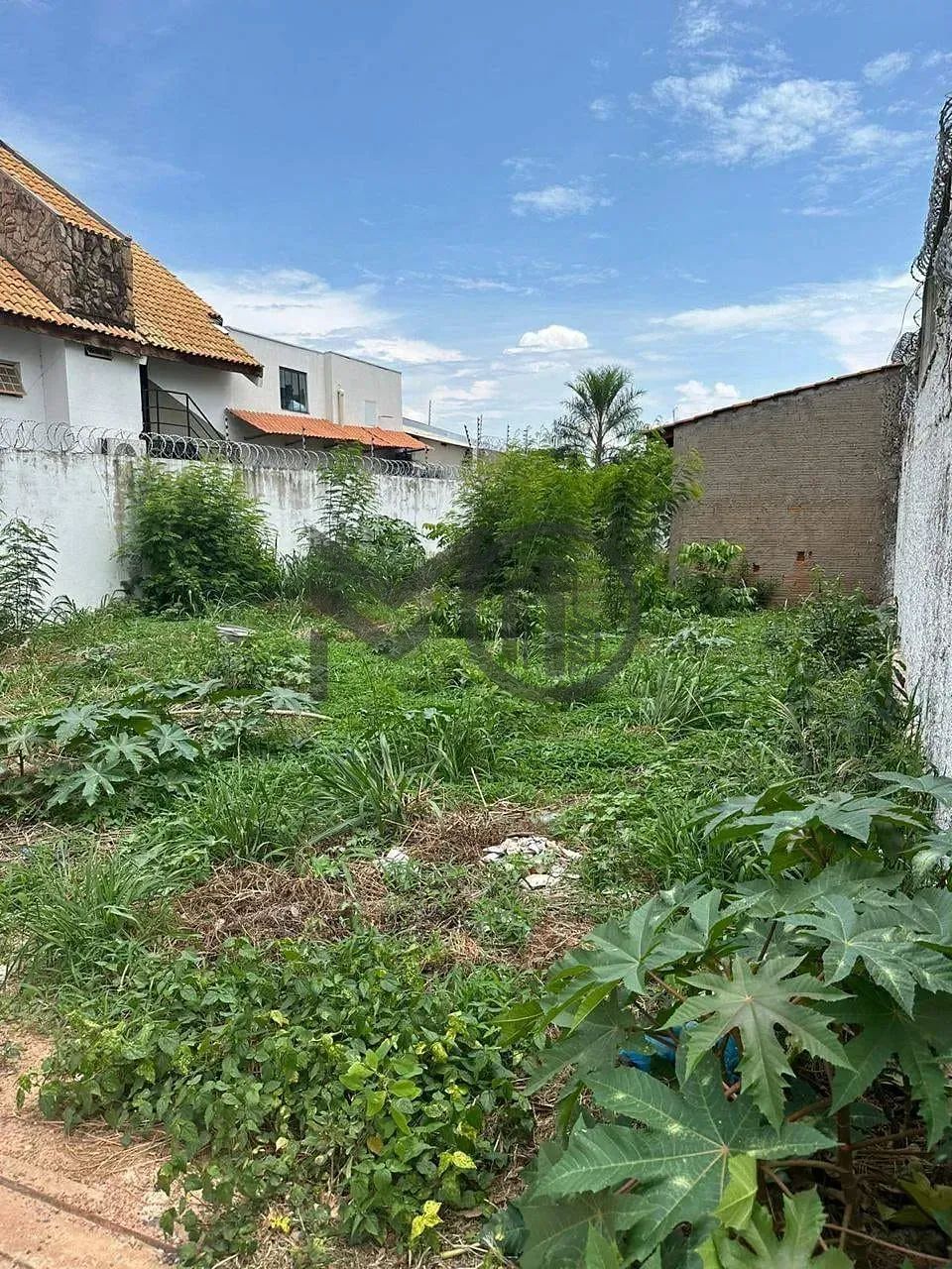 Terreno à venda, Bosque da Saúde, Cuiabá, MT - Foto 3