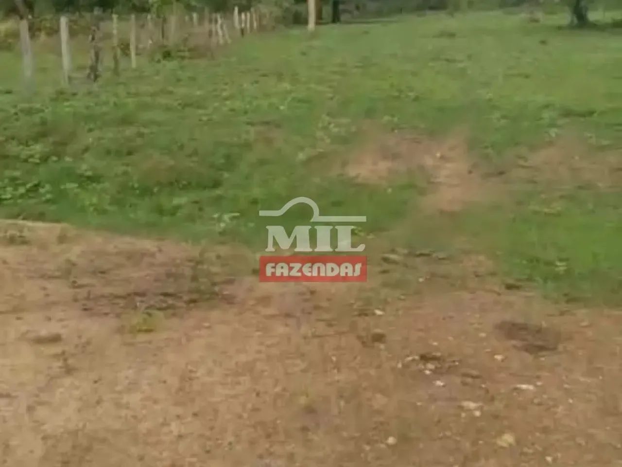 Fazenda em Taipas TO 106 alqueires (513,04 hectares) - Foto 2