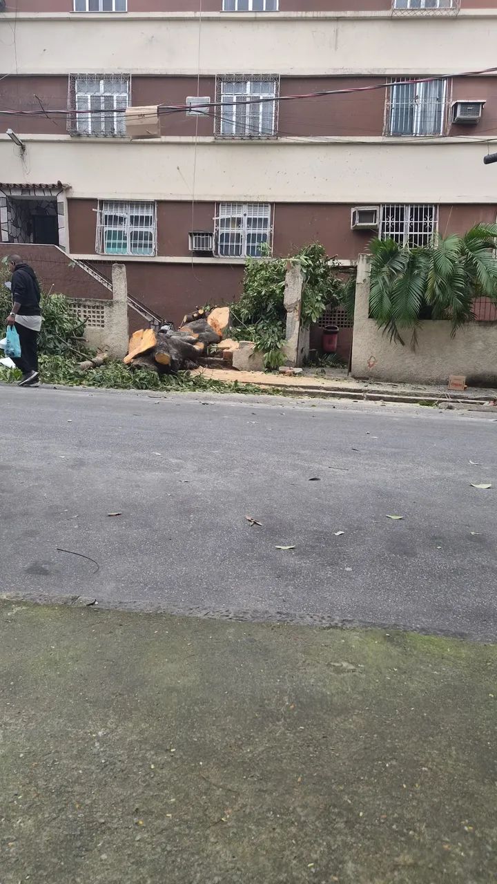 Corte / poda - Foto 3