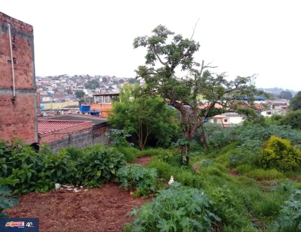 Terreno, Cidade Soberana - Guarulhos - Foto 3