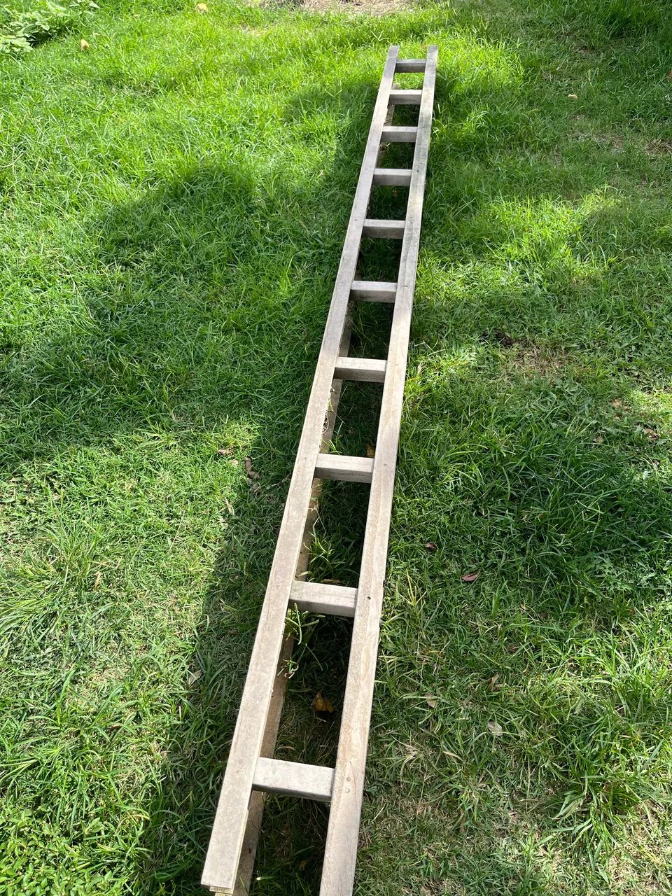 Estrutura - Foto 4