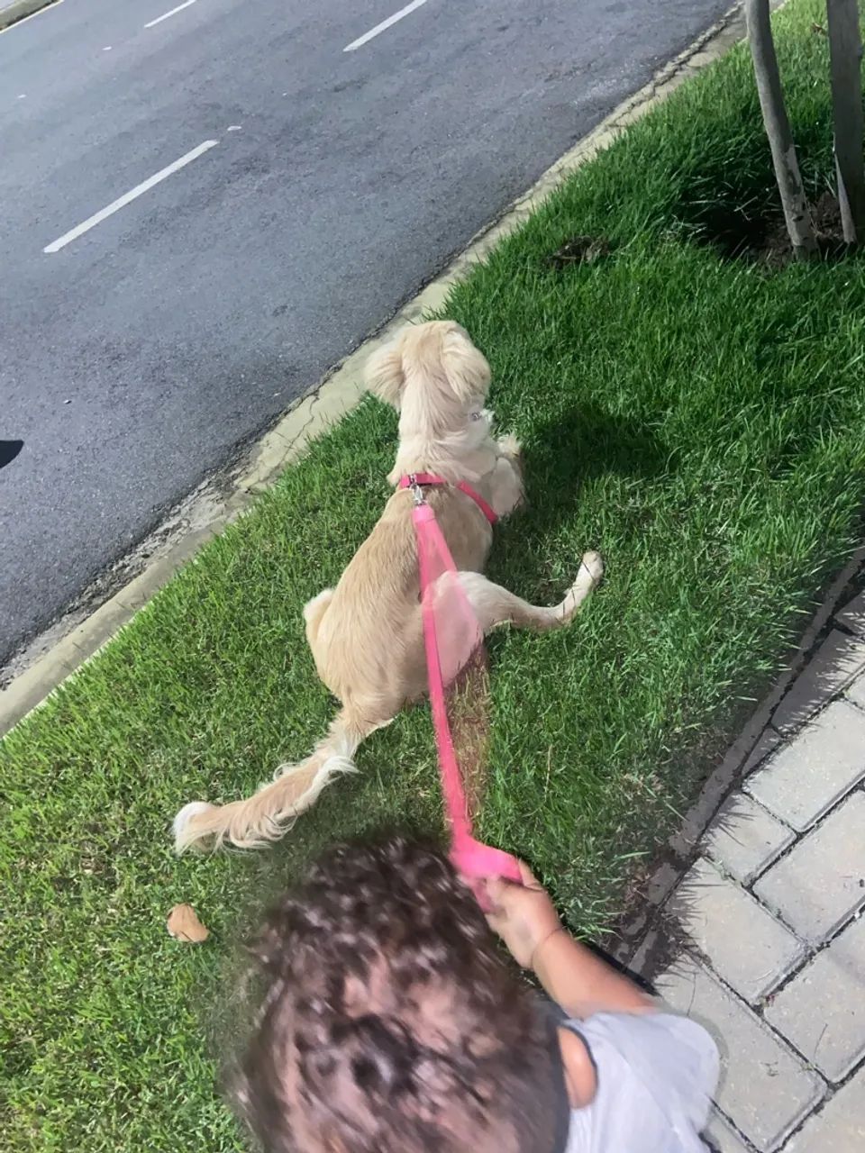 Doação  - Foto 4