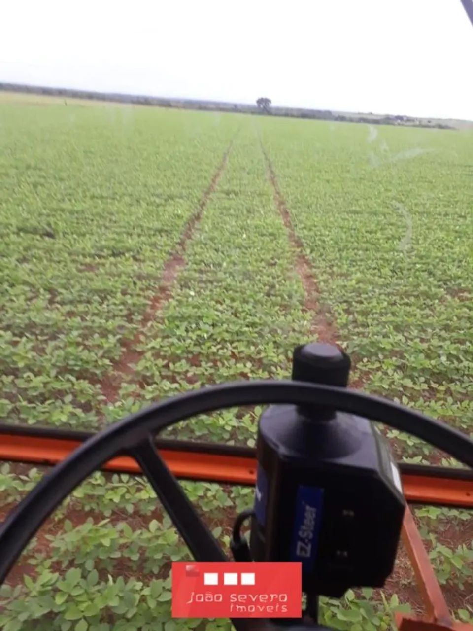 Fazenda para Venda em Canarana
