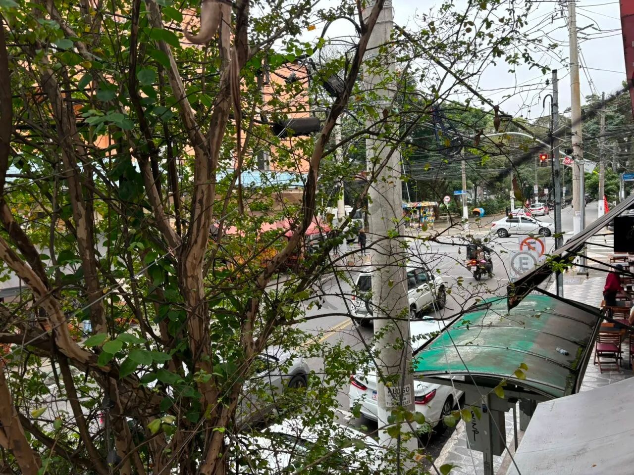 Sobrado Comercial, Cerqueira César - São Paulo - Foto 3