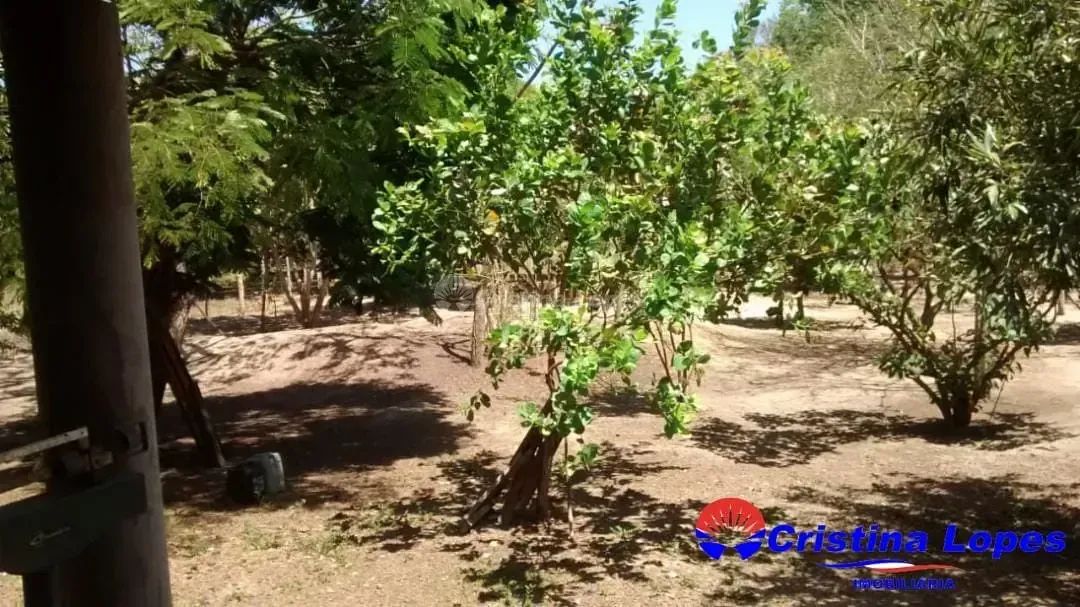Sitio no Povoado Soinho, Teresina-PI - Foto 4