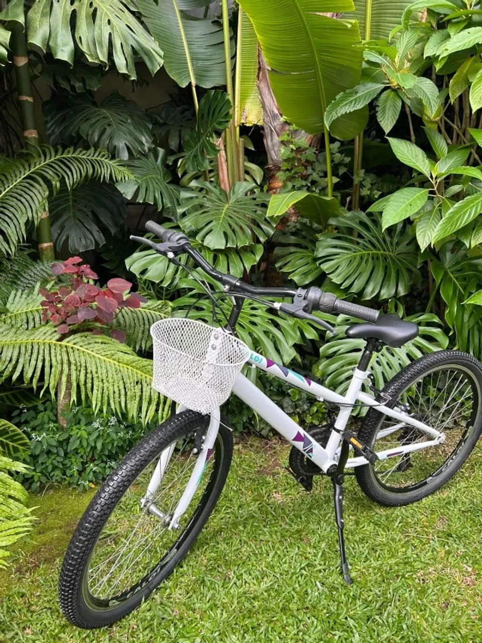 Bicicleta - Foto 3