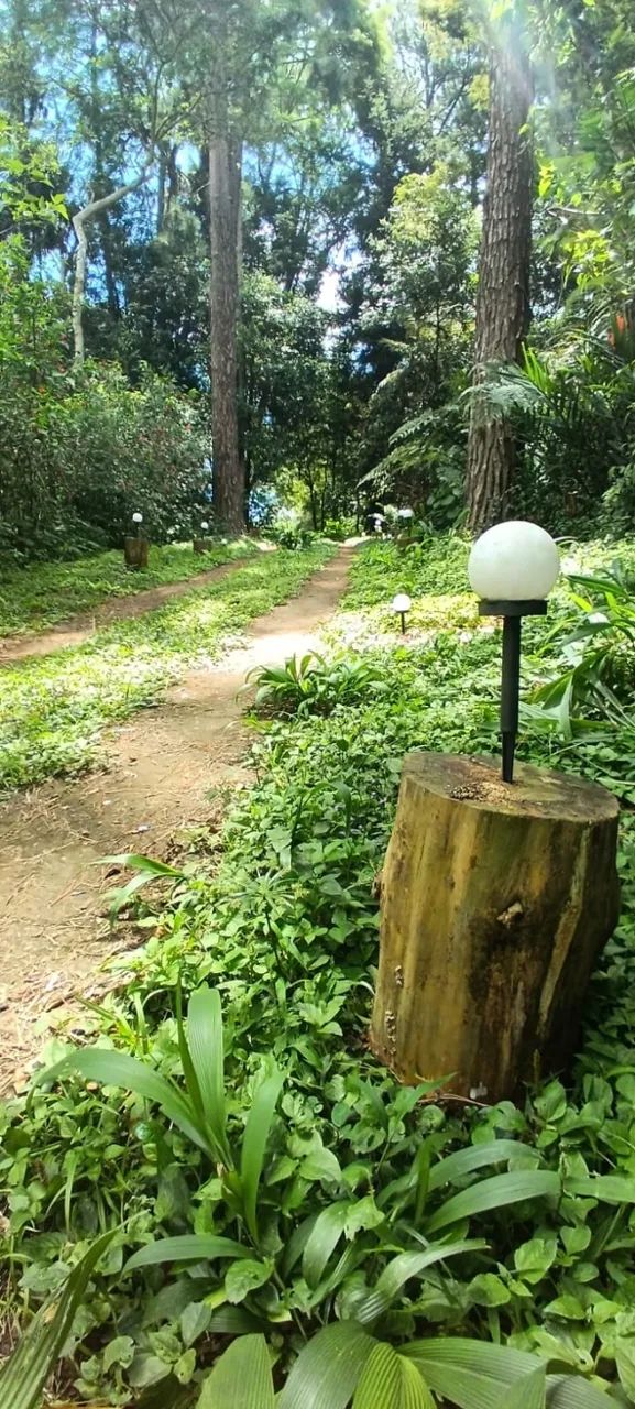 Luminária solar de jardim - Foto 2