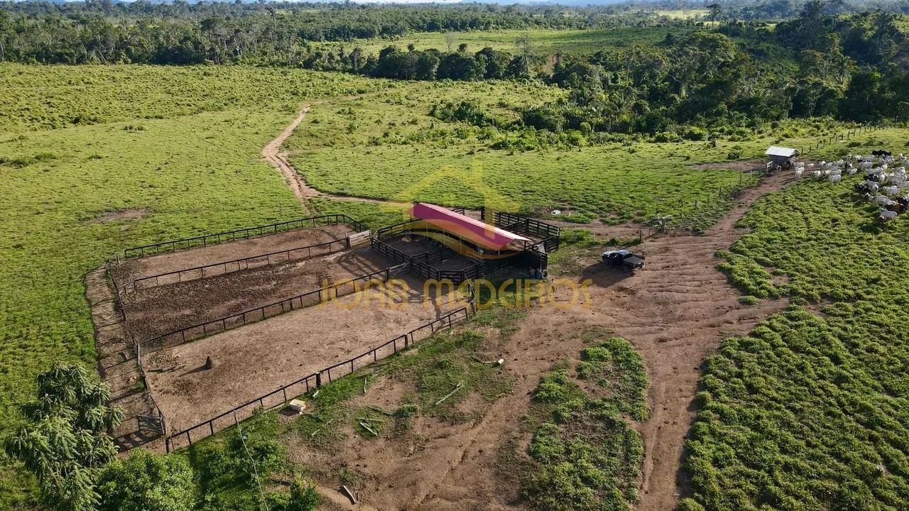 FAZENDA À VENDA - IRACEMA | CAMPOS NOVOS - RR / VENDA - Foto 4
