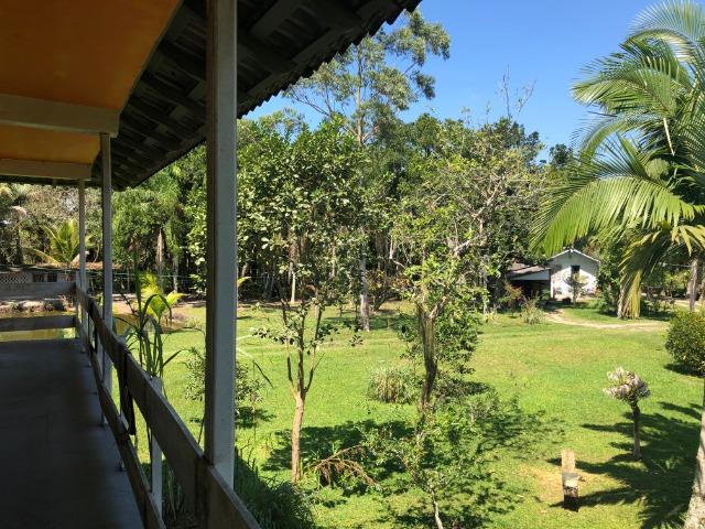 Chácara em Alexandra - Paranaguá na beira de rio com 2 casas + barco e veleiro - Foto 15