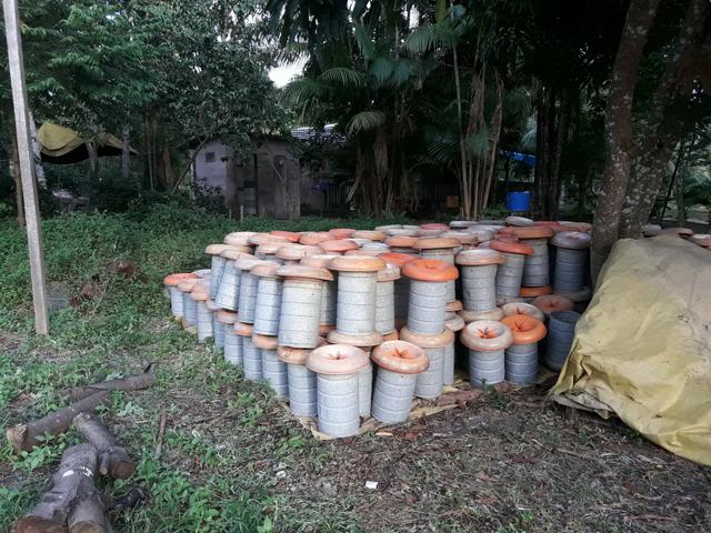 Comedouro tubular para aves